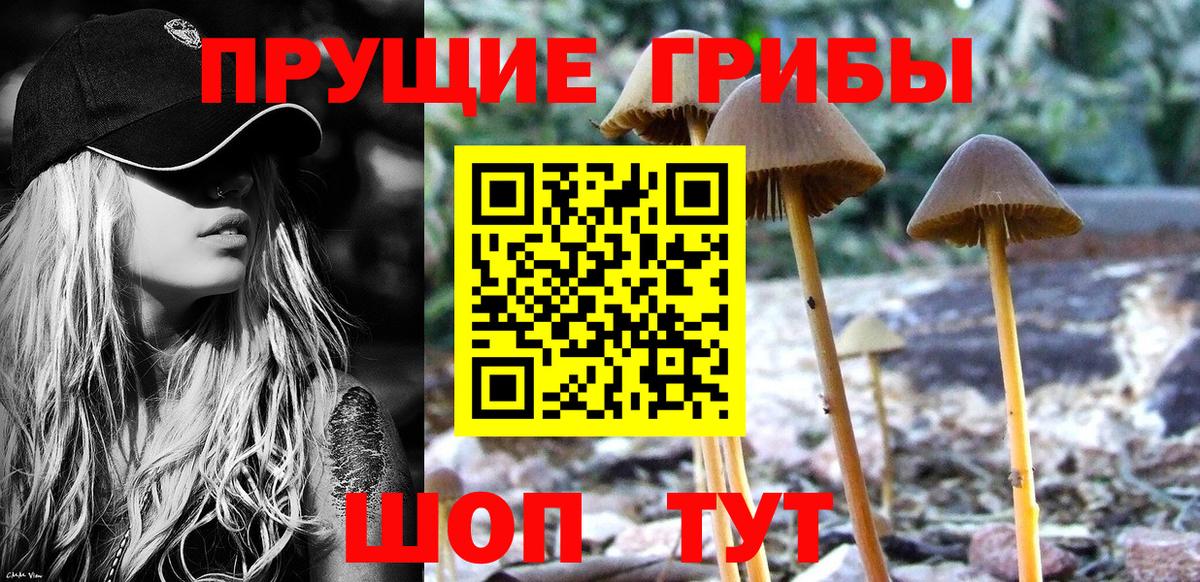  COCAIN Красный Сулин